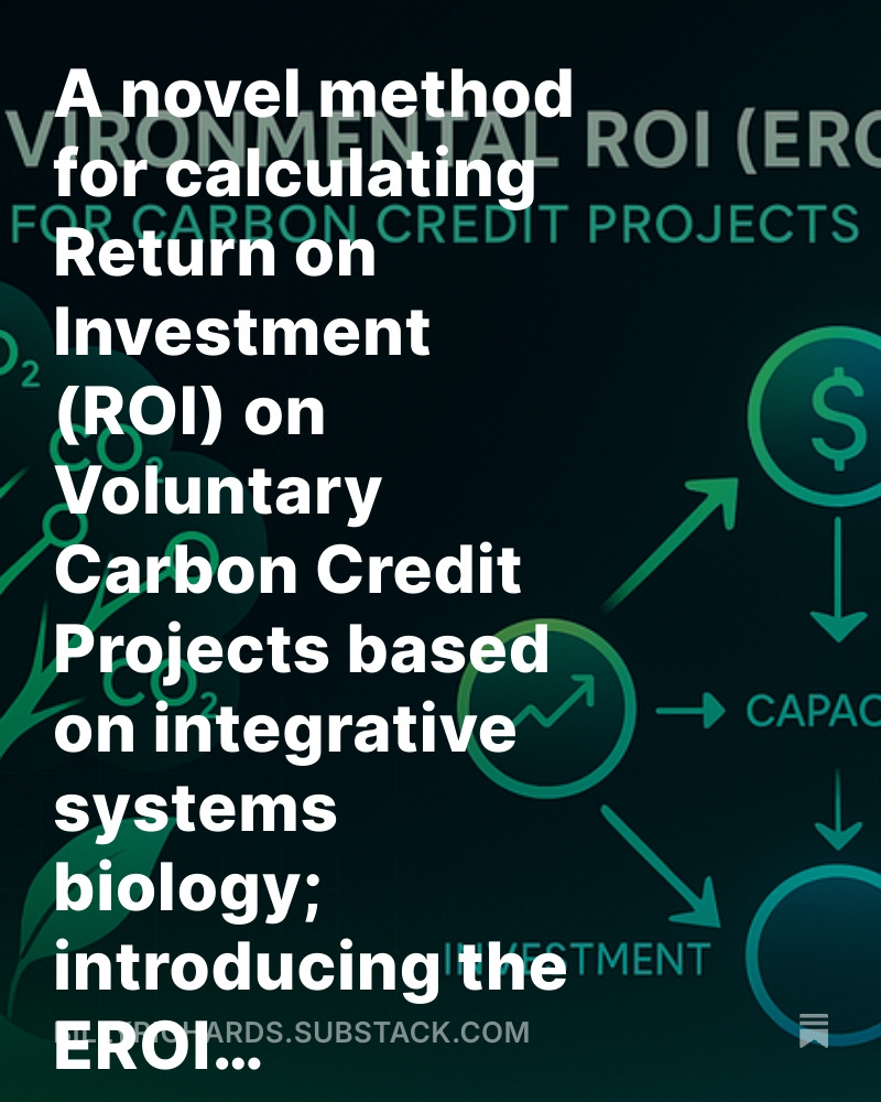 A Novel Method for Calculating Return on Investment (ROI) for Carbon Dioxide Removal (CDR) Projects